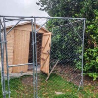 pension pour chien nord de toulouse