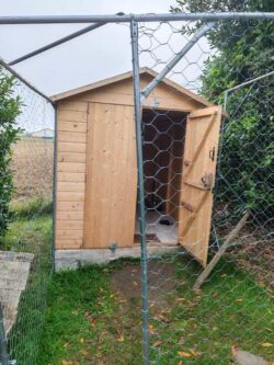 pension canine familiale bonrepos sur aussonnelle