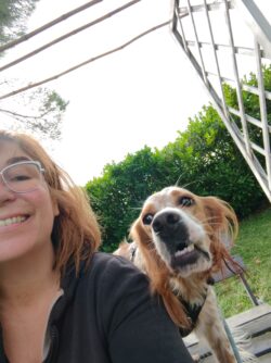 pension canine coucou toulouse