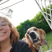 pension canine coucou toulouse